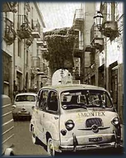 multipla montex